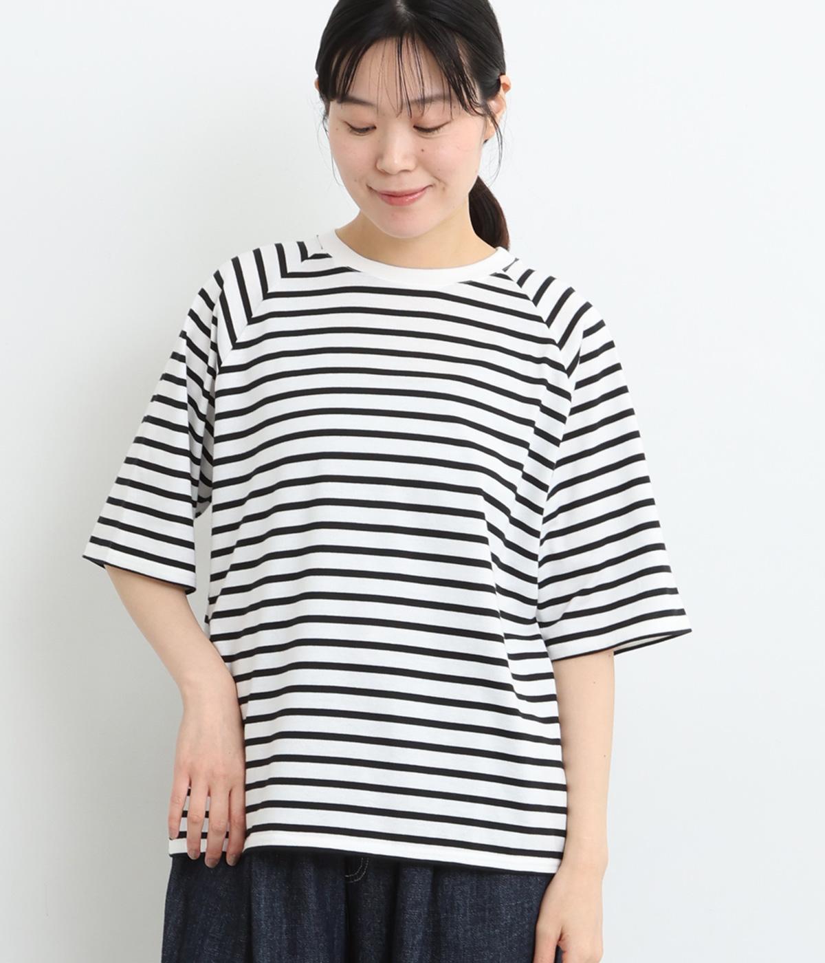 コットン天竺ボーダーラグランTシャツ(ホワイト×ブラック-ONESIZE)