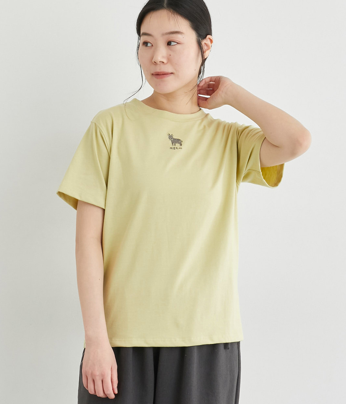 ファーム動物刺繍入りTシャツ(ライトグリーン-L)