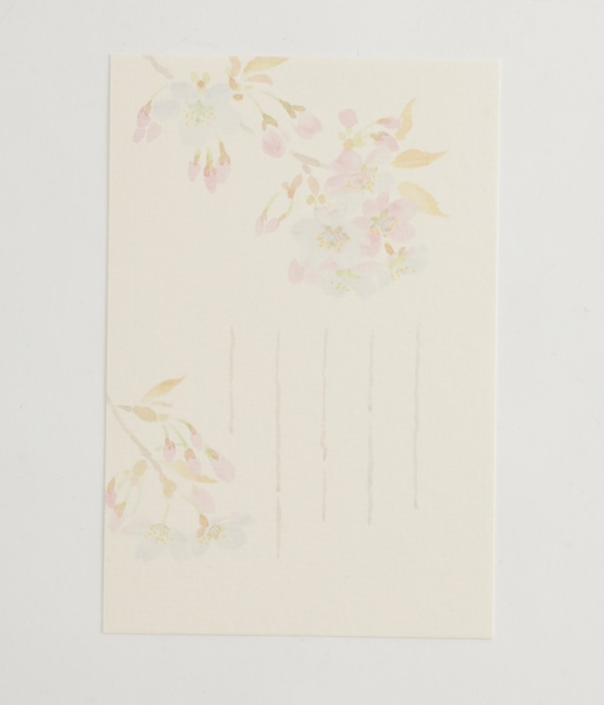 季節のはがき　山桜　5枚入り(カラー1-ONESIZE)